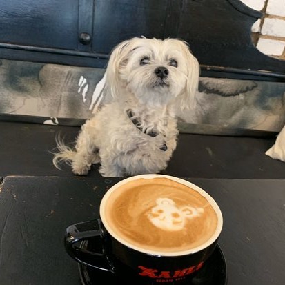 latte-dog